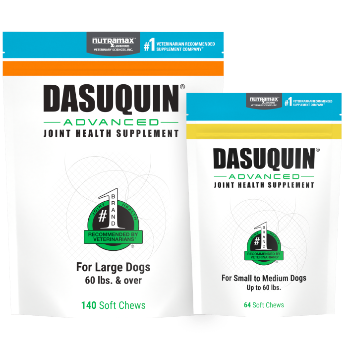 Dasuquin® Soft Chews